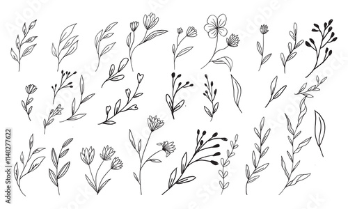 set collection plants leave hand draw vector. Drawing beautiful creeper leaves, decorative set