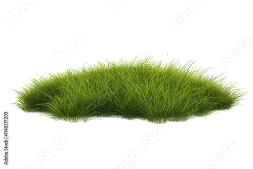 A tuft of grass isolated on white as a png to be used for graphic design purposes