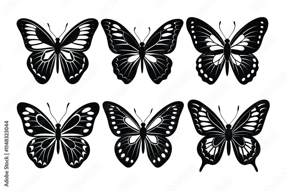 collection of butterflies collection of butterflies
