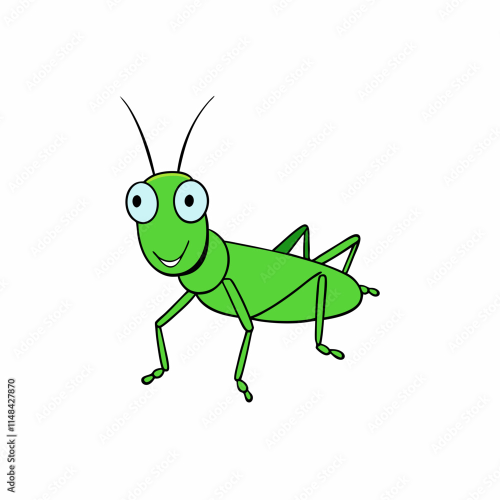 green grasshopper isolated on white background green grasshopper isolated on white background