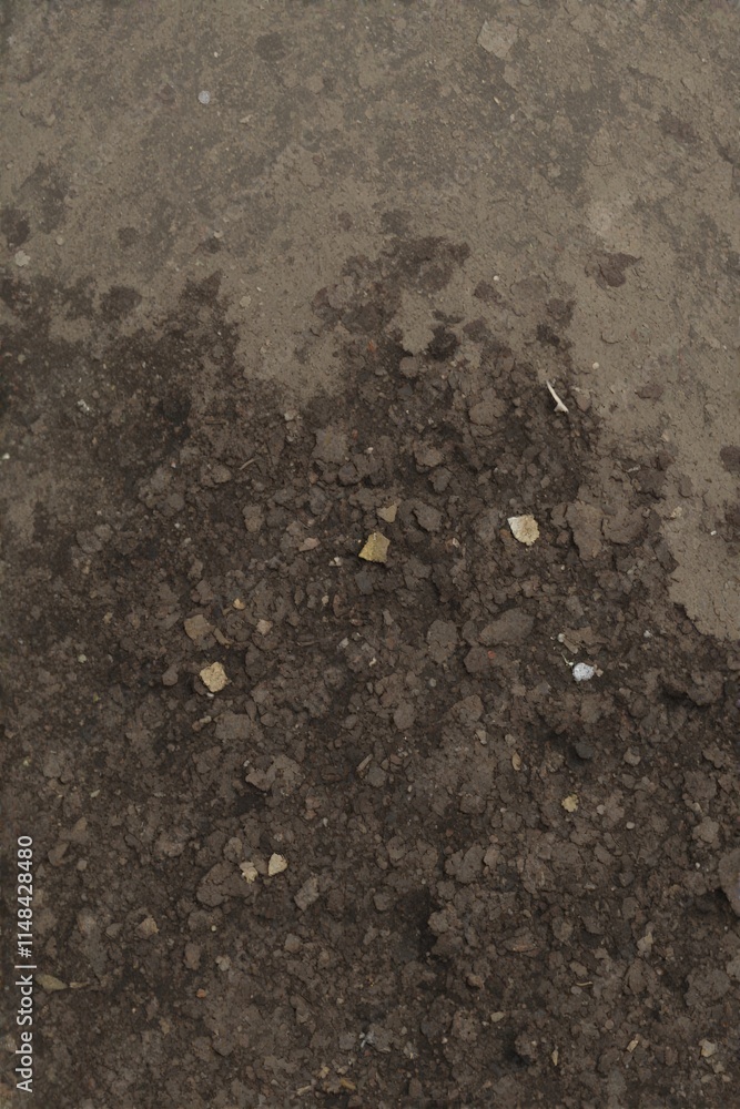 there is a small dog that is standing in the dirt there is a small dog that is standing in the dirt