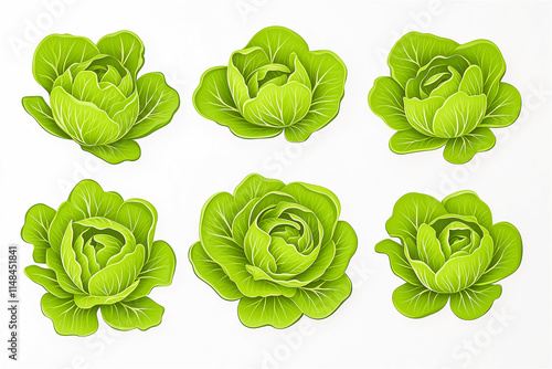Fresh green lettuce leaves neatly arranged on a white background. Ideal for healthy food advertising, diet promotions, or vegetarian recipes.