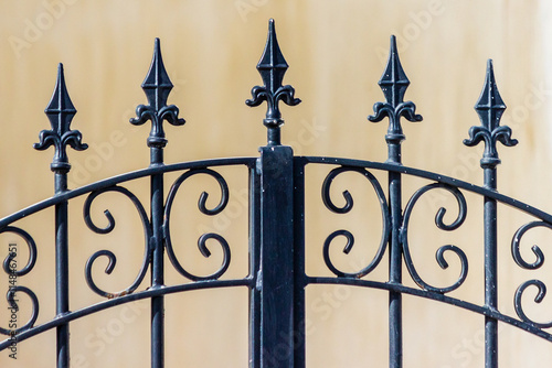 Elegant Decorative Wrought Iron Gate with Ornate Design Elements Closeup