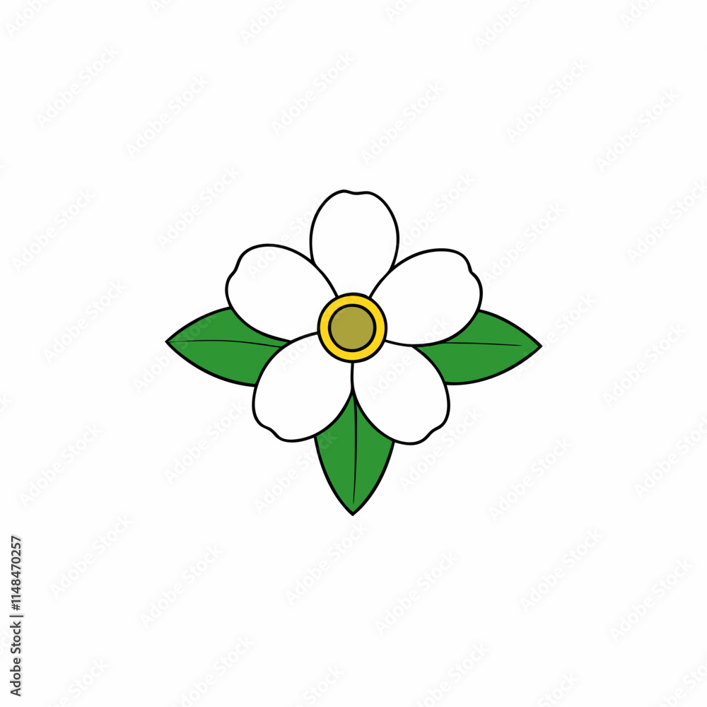 flower isolated on white background flower isolated on white background
