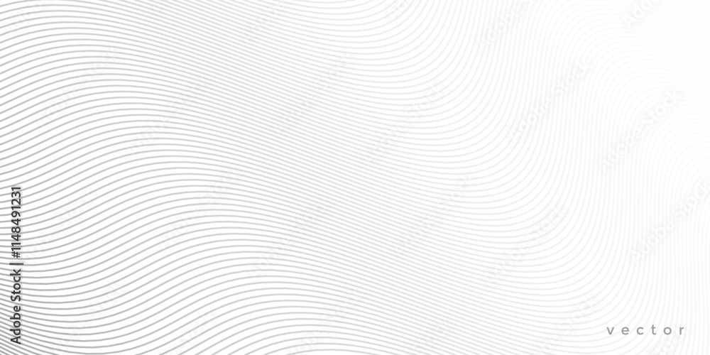Abstract white background from lines. Wavy line drawing . Design element. Vector illustration . Abstract white background from lines. Wavy line drawing . Design element. Vector illustration .