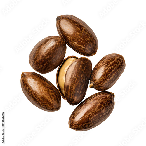 Breadnut Seeds  Isolated On Transparent Background photo