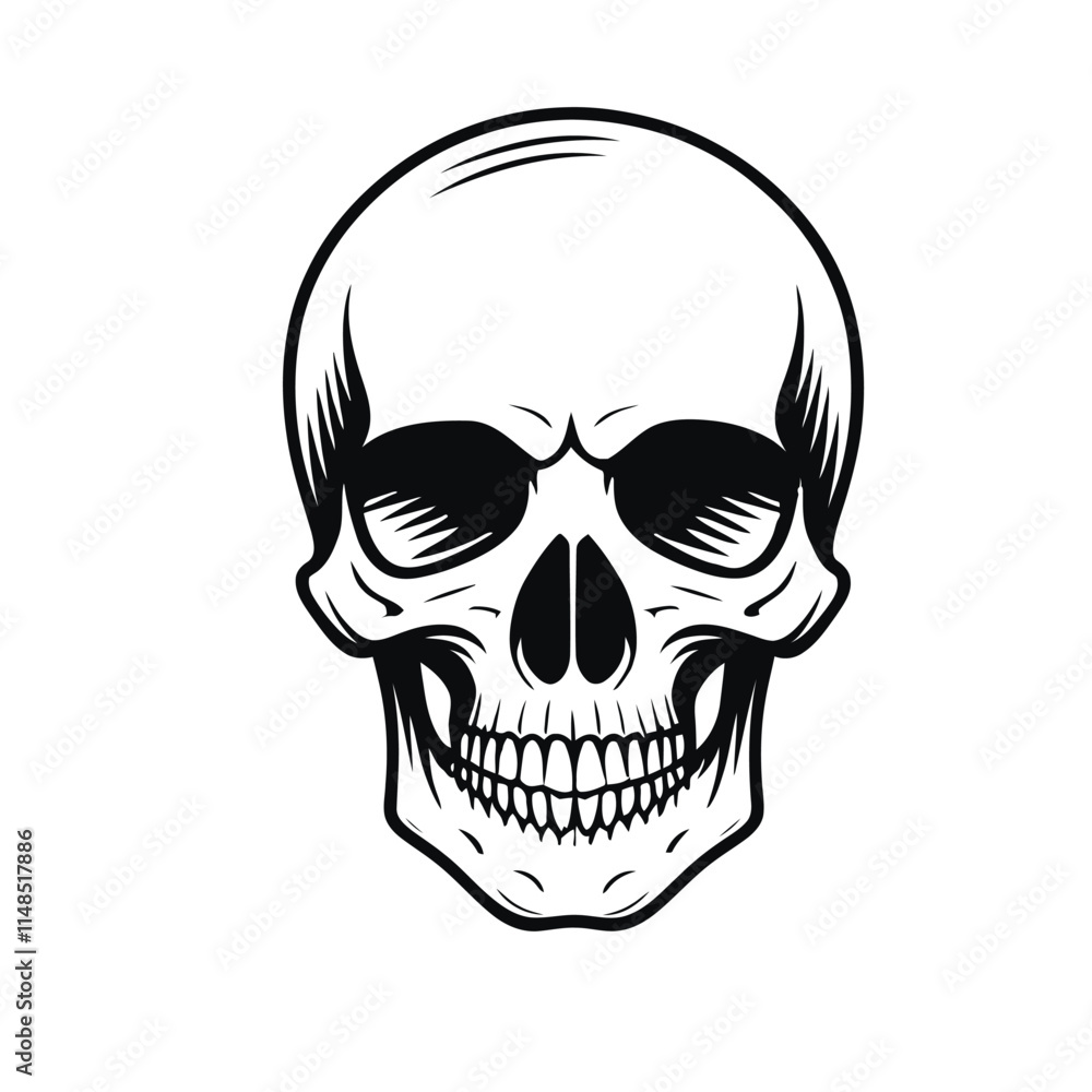 Black and white vector image of a human skull Black and white vector image of a human skull