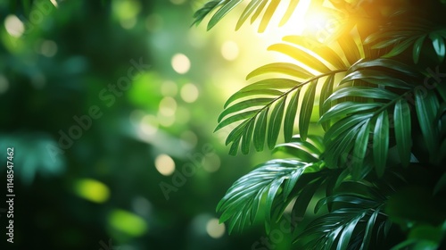 Tropical palm leaves on a vibrant green nature background in sunlight