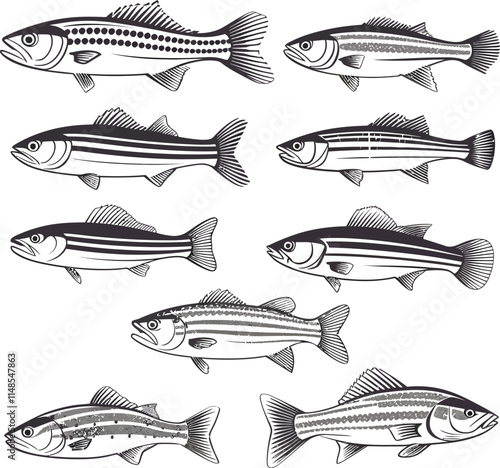 Simple black and white illustration of a fish with clear outlines and details.