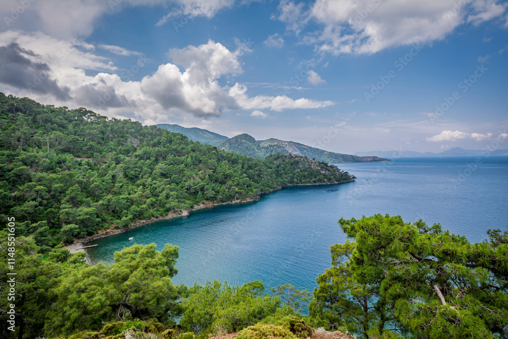 Naklejka premium Beautiful coastline view of Fethiye Town in Turkey