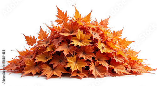 leaves isolated on white