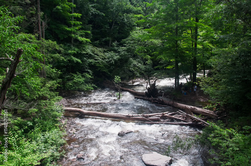 spruce creek at Kaaterskills falls in upstate new york photo