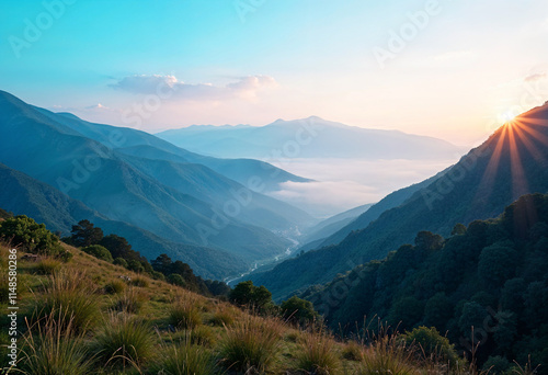 soothing nature images as backgrounds to evoke feelings of grounding and connection to self.