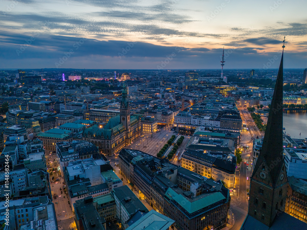 The City of Hamburg with House of Government and the Lake Alster