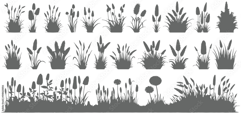 silhouette of grass and plants, isolated on white background vector illustration silhouette of grass and plants, isolated on white background vector illustration