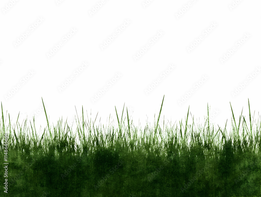 Fototapeta premium Green Grass Illustration Background