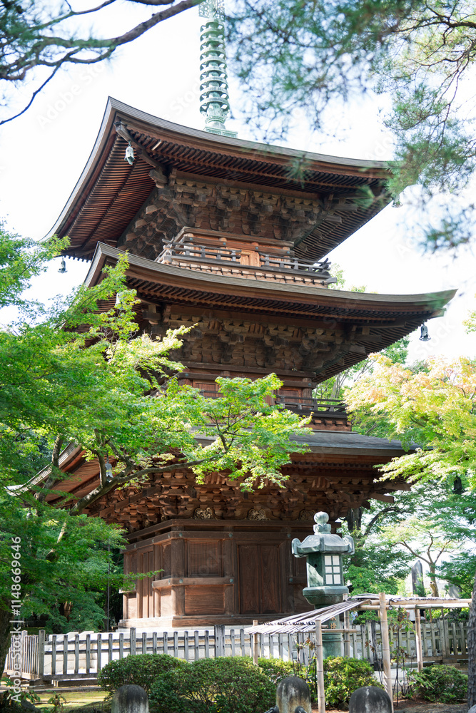 Japanese waving cat, lucky cat, fortune cat of temple in Tokyo, japan Japanese waving cat, lucky cat, fortune cat of temple in Tokyo, japan