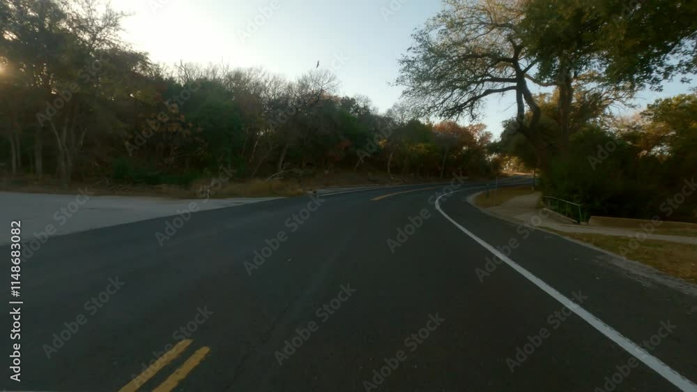 Drive plate on tree-lined shady 2 lane road into evening sunset Drive plate on tree-lined shady 2 lane road into evening sunset