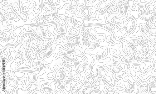 Topographic map lines background. Black on white contours vector topography stylized height of the lines photo