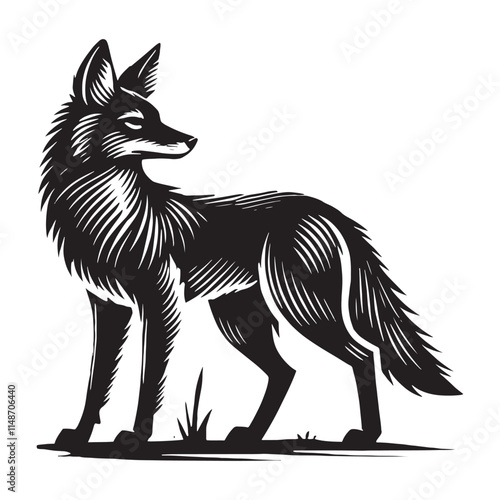 Detailed jackal silhouette for artistic projects - Jackal black vector
