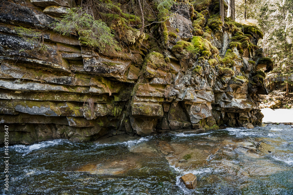 Tranquil Mountain Stream Flowing Over Moss-Covered Rocky Outcrop Tranquil Mountain Stream Flowing Over Moss-Covered Rocky Outcrop