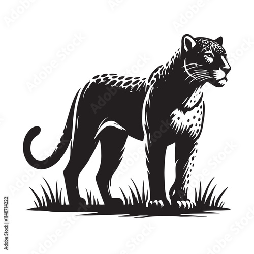 Majestic jaguar silhouette for digital and print design - Jaguar black vector
