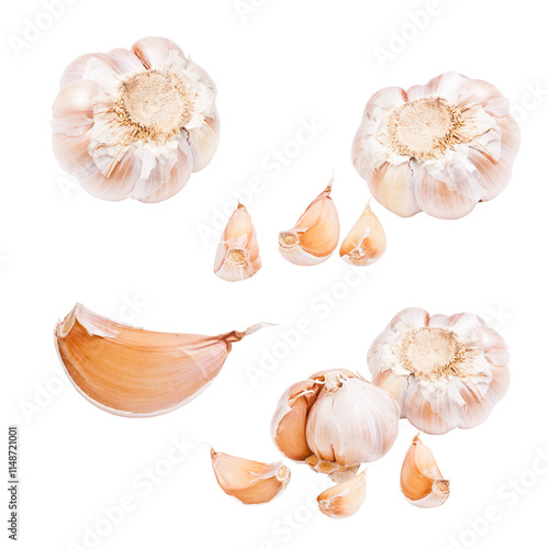 Several garlic cloves and bulbs photo