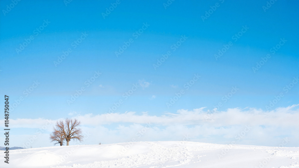 Lone tree in a snow-covered field under a clear sky Lone tree in a snow-covered field under a clear sky