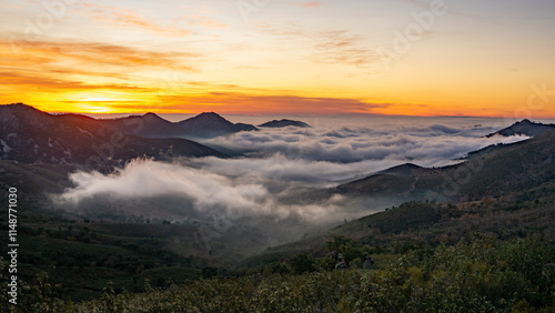 Niebla en el Geoparque Villuercas Ibores Jara