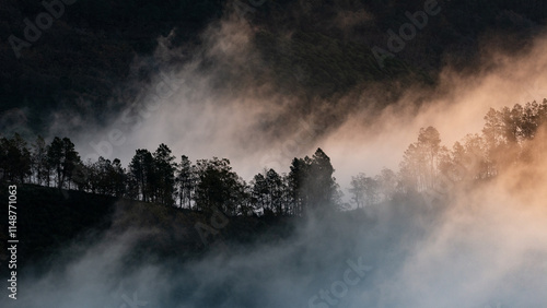 Niebla en el Geoparque Villuercas Ibores Jara photo