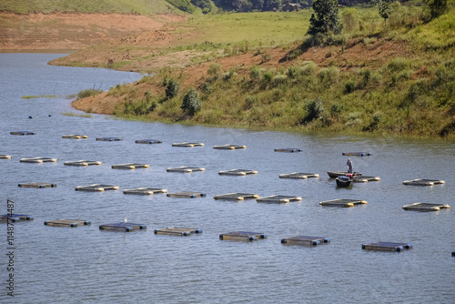 Criação de peixes na represa com varios caixotes com fundo da natureza selvagem. photo