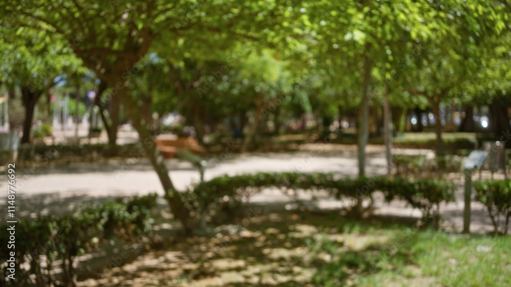 Obraz premium Blurred image of an outdoor park with trees and walkways creating a serene and defocused background with green foliage and shadows