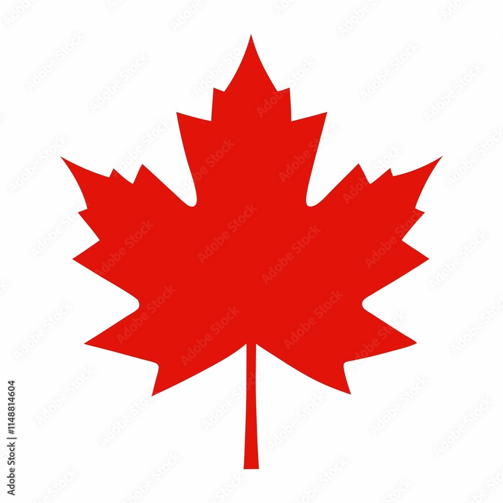 Maple leaves isolated vector on white background. Maple leaves isolated vector on white background.