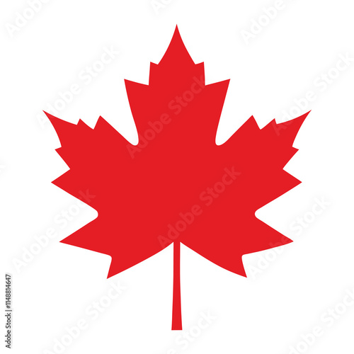 Maple leaves isolated vector on white background.