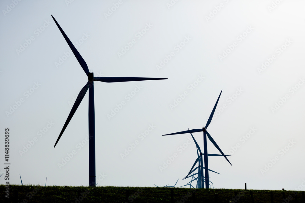 Several wind turbines stand silhouetted against a pale sky, atop a grassy field. Renewable energy source. Several wind turbines stand silhouetted against a pale sky, atop a grassy field. Renewable energy source.
