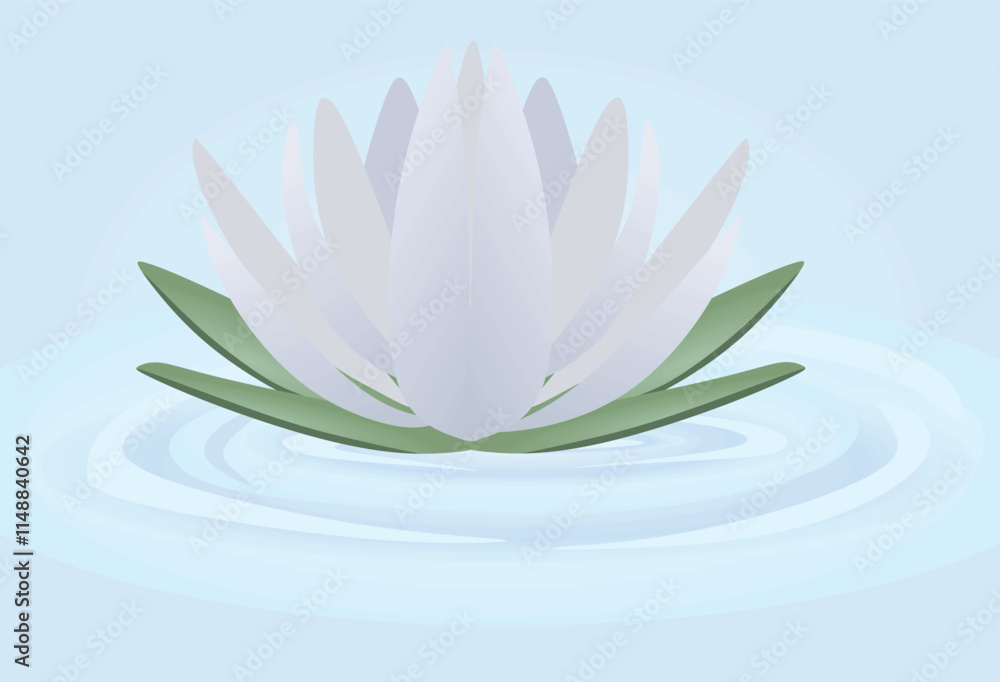 Fototapeta premium White lotus isolated. vector illustration