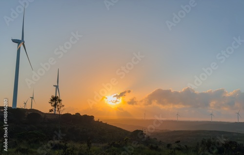 sunset