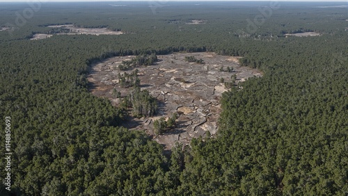 Aerial view of isolated trees in a fragmented forest with cleared patches below photo