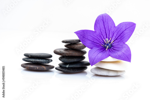 zen stones and orchid