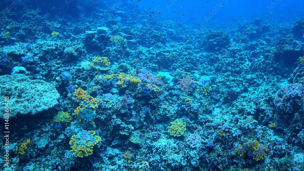 Vibrant coral field with blue and yellow pipe corals adorned with darting fish Vibrant coral field with blue and yellow pipe corals adorned with darting fish