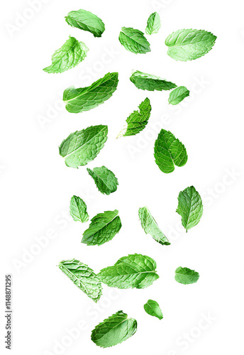 Isolated falling mint leaves on a white background. created with Generative AI technology