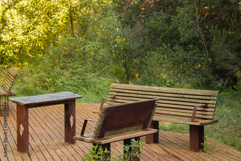 rest area on a path with tables, chairs and a bird perched on furniture rest area on a path with tables, chairs and a bird perched on furniture