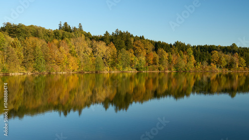 Bucher Stausee mit goldenen Herbstwald, Rainau-Buch, Baden-Württemberg, Deutschland