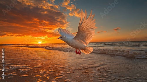 A white dove gracefully takes flight over the shimmering waves of a tranquil beach at sunset, embodying peace and freedom.