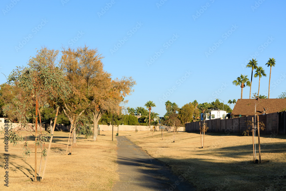 Dry winter grass at Conocido park sides of entrance pathway, Phoenix, Arizona Dry winter grass at Conocido park sides of entrance pathway, Phoenix, Arizona