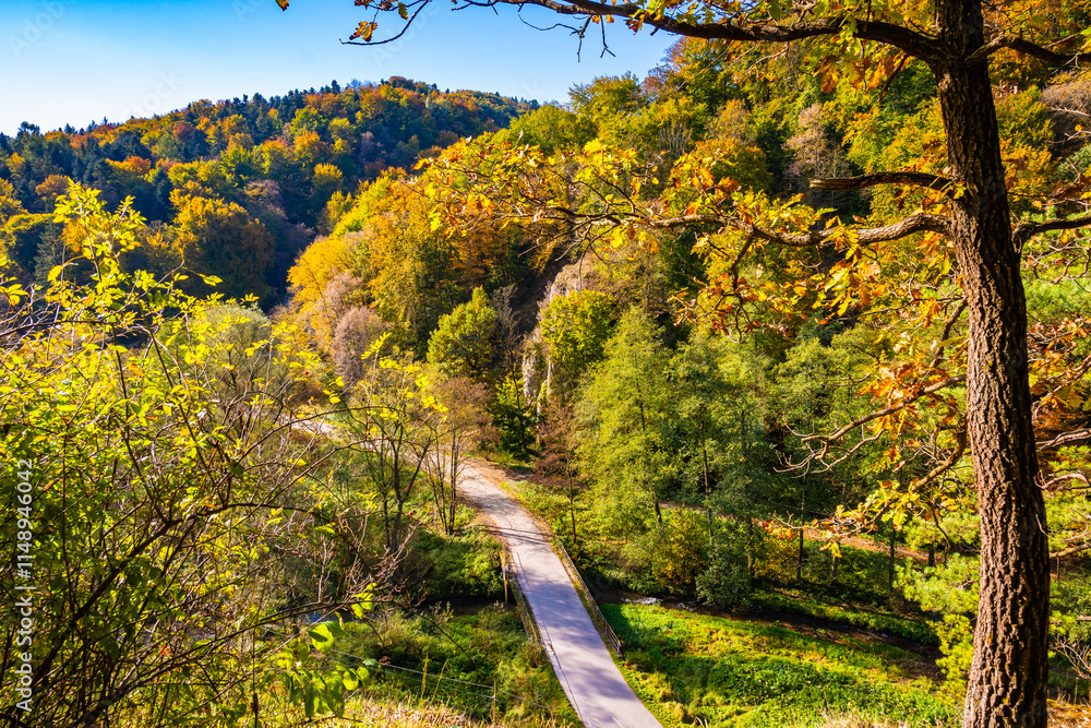 Road in valley with autumn fall colors of trees in Ojcow National Park, Poland