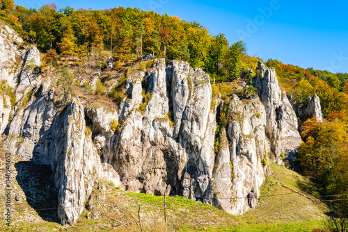 Obraz na płótnie Limestone rocks in autumn fall landscape of Ojcow National Park, Poland w salonie