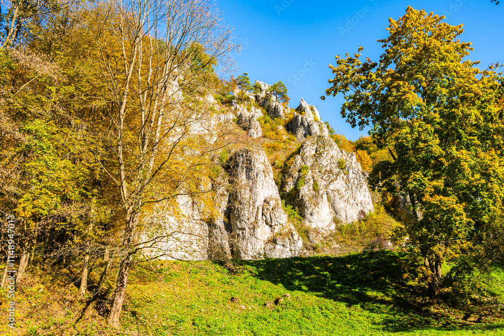 Limestone rocks in autumn fall landscape of Ojcow National Park, Poland