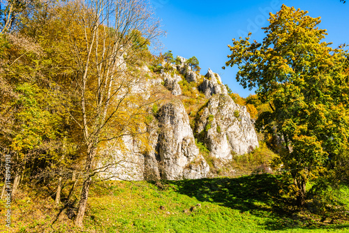 Obraz na płótnie Limestone rocks in autumn fall landscape of Ojcow National Park, Poland w salonie