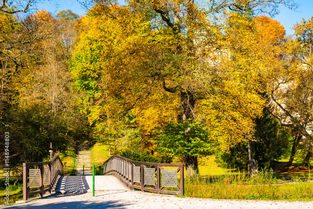 Wooden bridge over river in park with autumn fall colors of trees in Ojcow National Park, Poland
